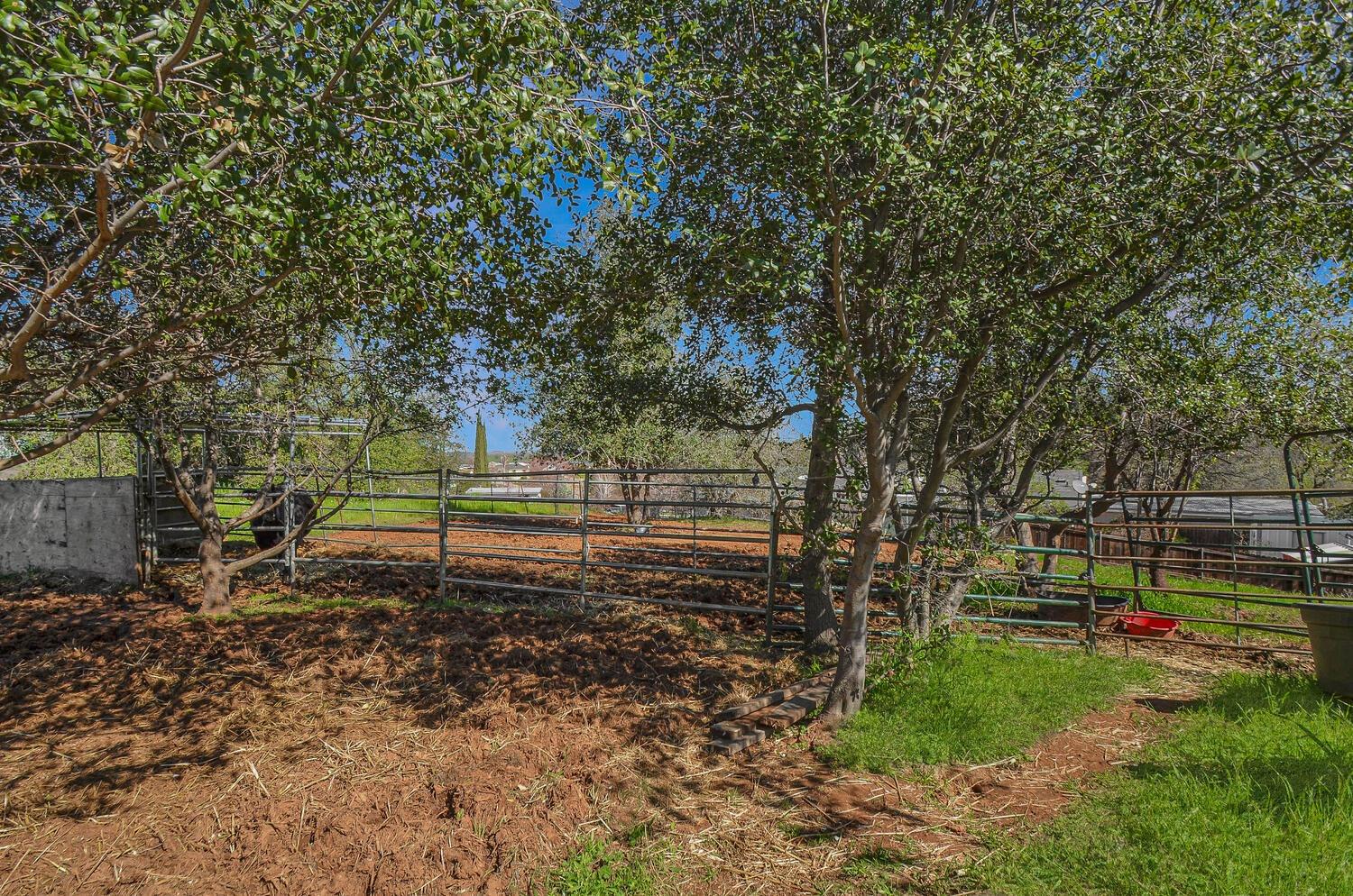Detail Gallery Image 53 of 62 For 425 Sutter Hill Rd, Sutter Creek,  CA 95685 - – Beds | – Baths
