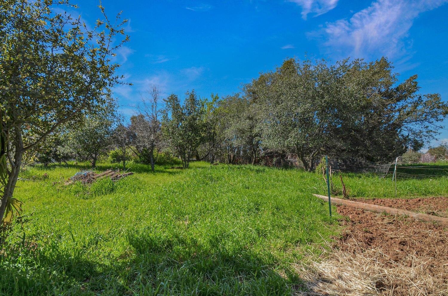 Detail Gallery Image 54 of 62 For 425 Sutter Hill Rd, Sutter Creek,  CA 95685 - – Beds | – Baths