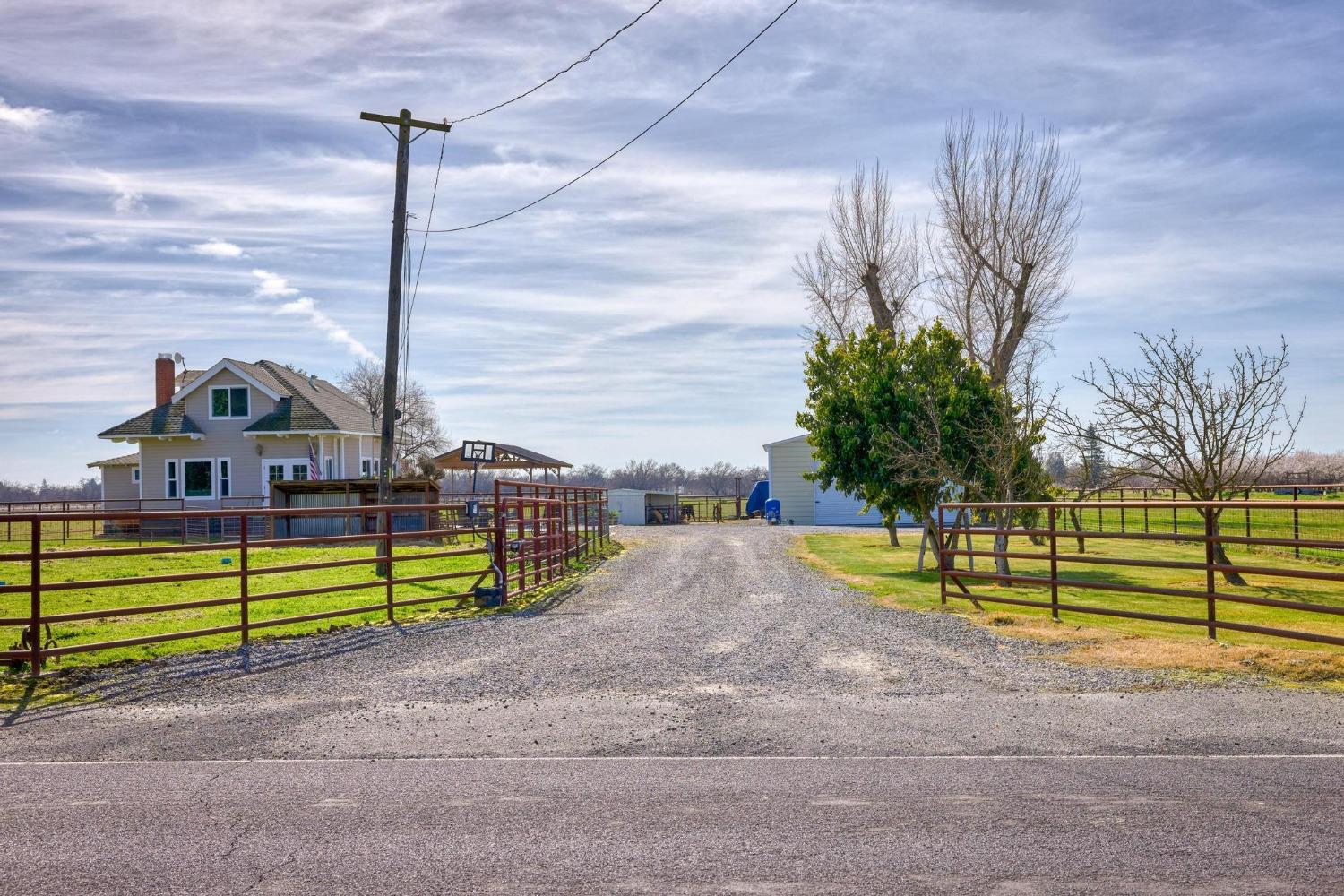 Orange Avenue, Escalon, California image 5