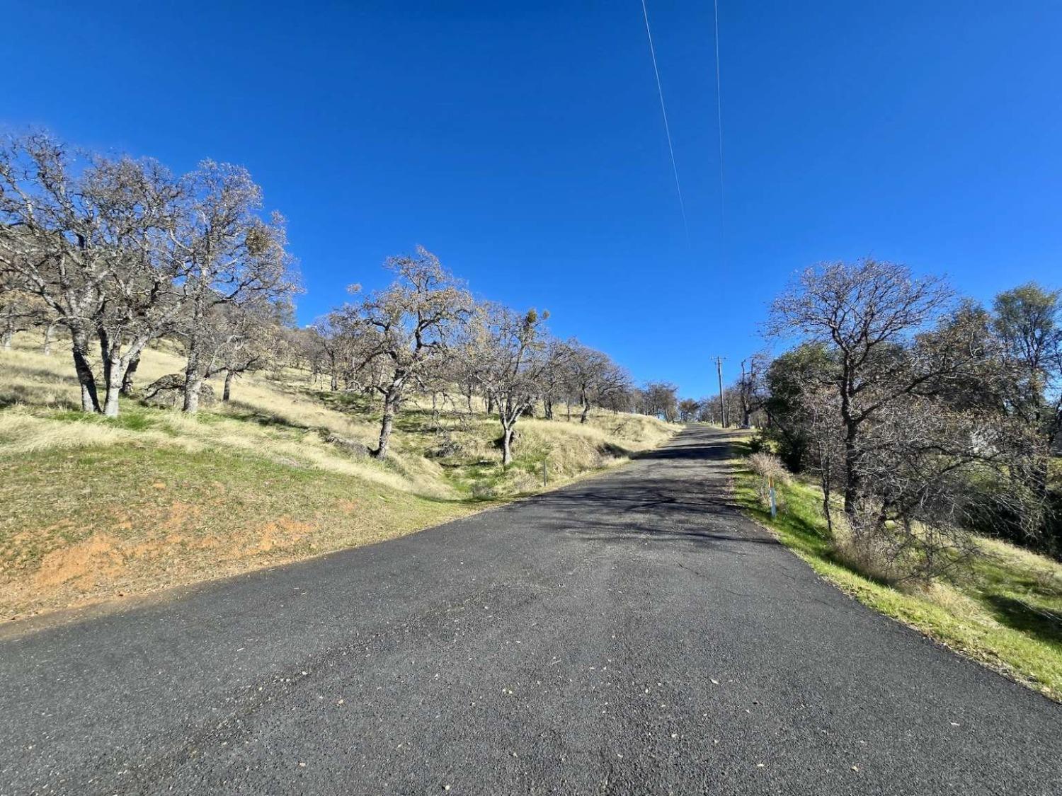 Bear Trap Drive, Mariposa, California image 3