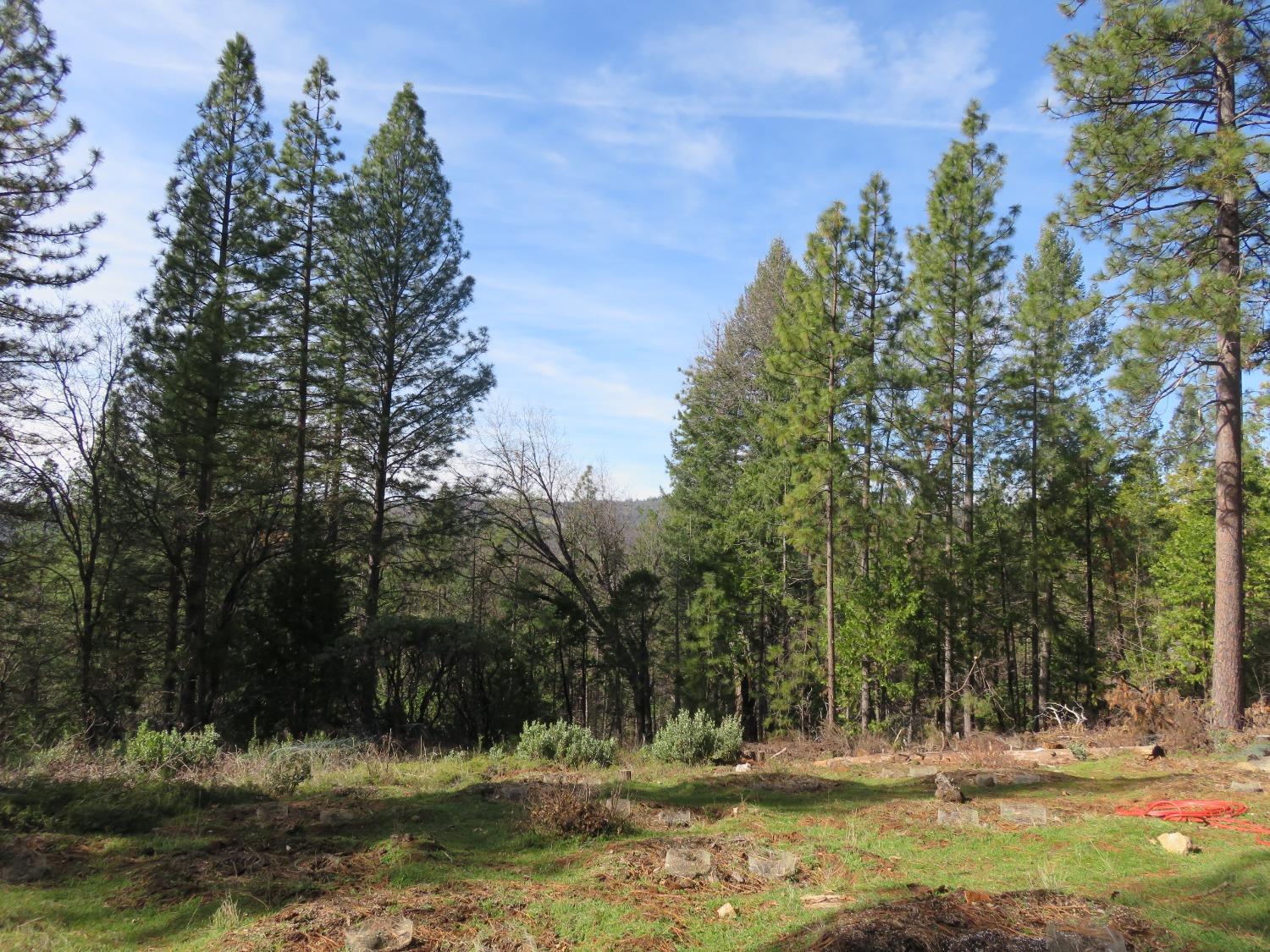 Quartz Mountain Road, West Point, California image 2