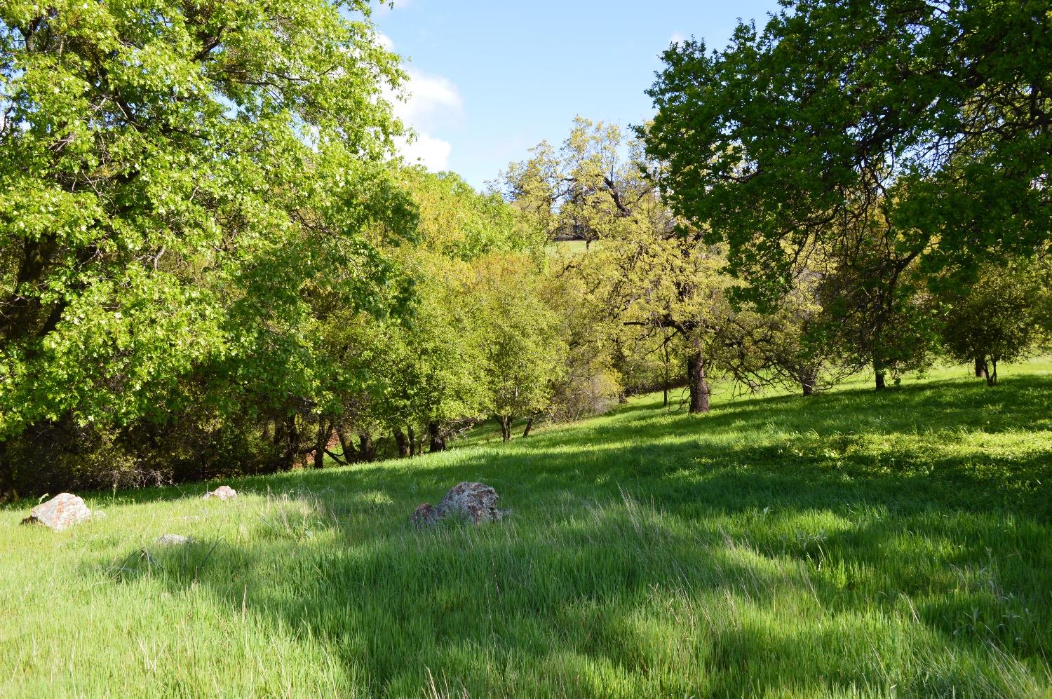 La Dolce Vita Place, Auburn, California image 3