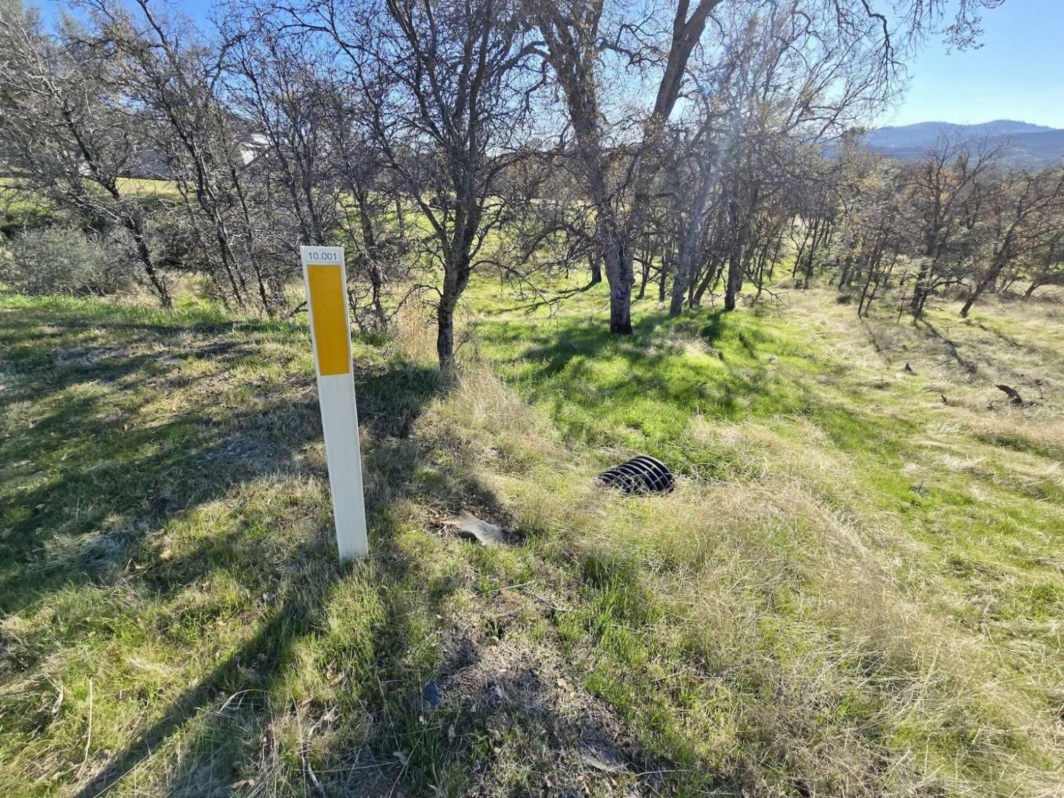 Bear Trap Drive, Mariposa, California image 4