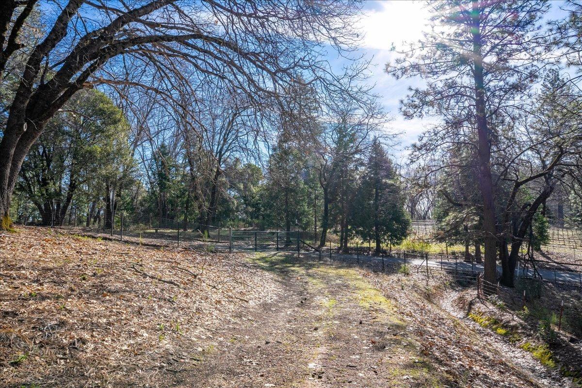 Detail Gallery Image 62 of 64 For 3480 Graybar Mine Rd, Garden Valley,  CA 95633 - 3 Beds | 2/1 Baths