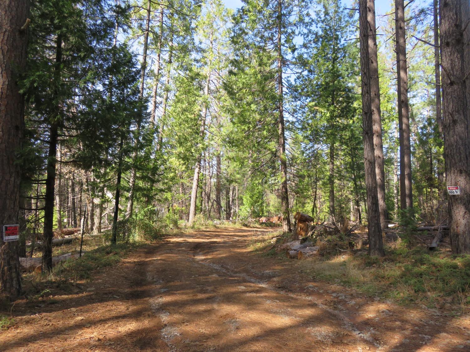 Quartz Mountain Road, West Point, California image 18