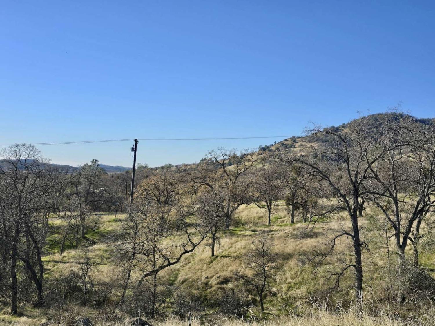 Bear Trap Drive, Mariposa, California image 15