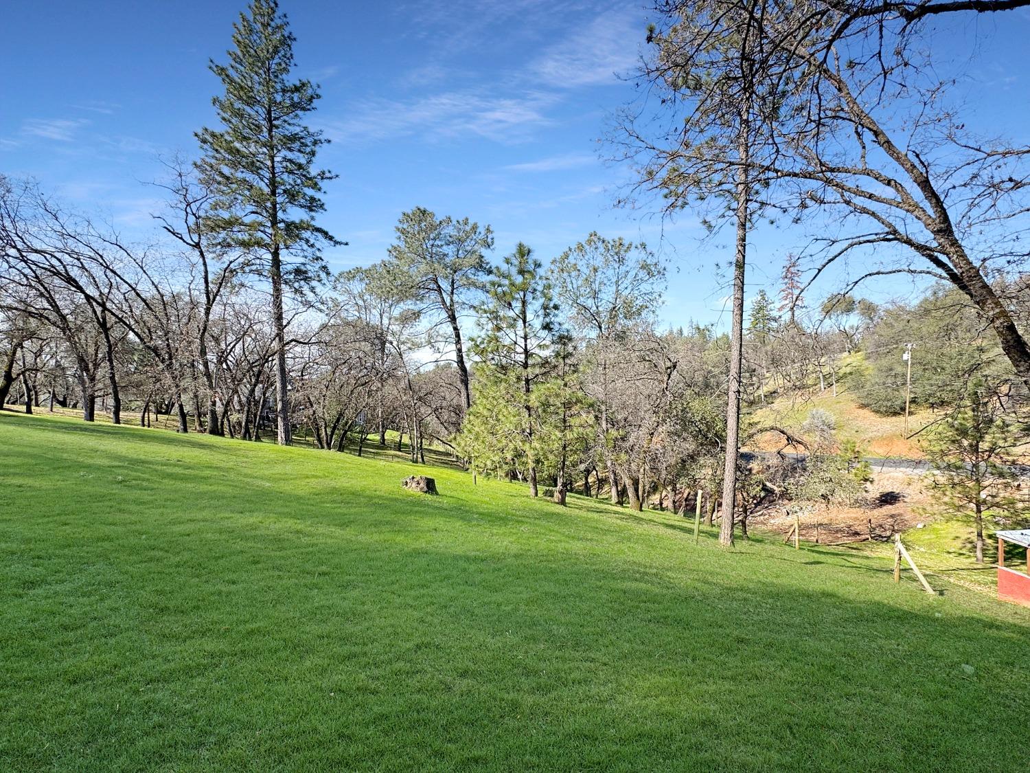 Willow Creek Trail, Cool, California image 9