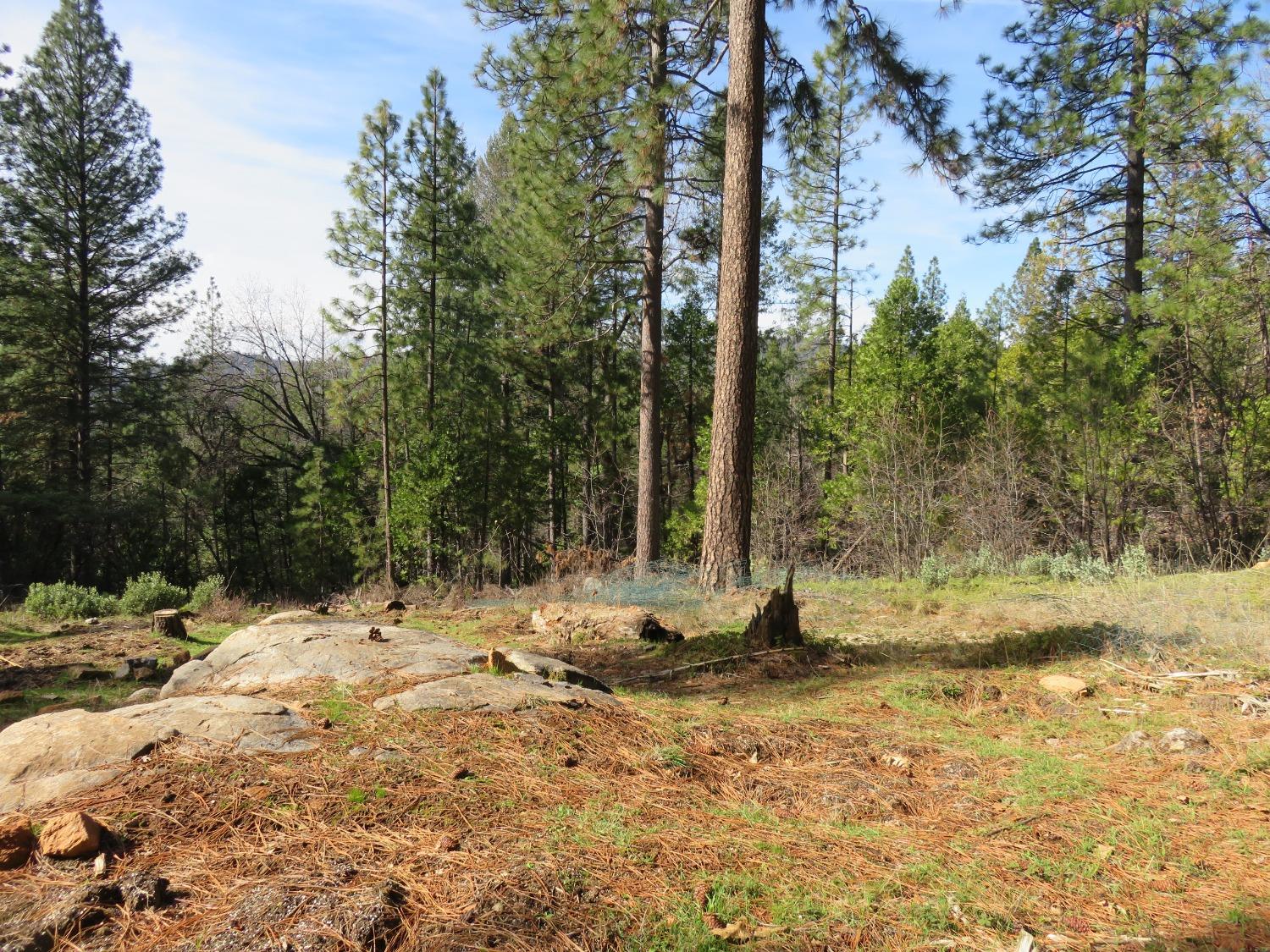 Quartz Mountain Road, West Point, California image 1