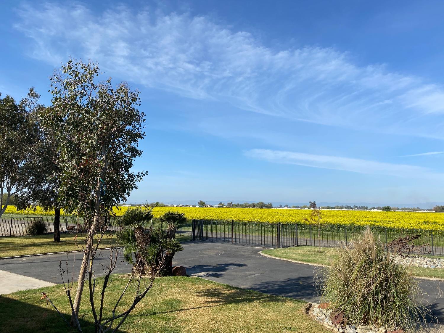 Mccullagh Street, Stevinson, California image 1