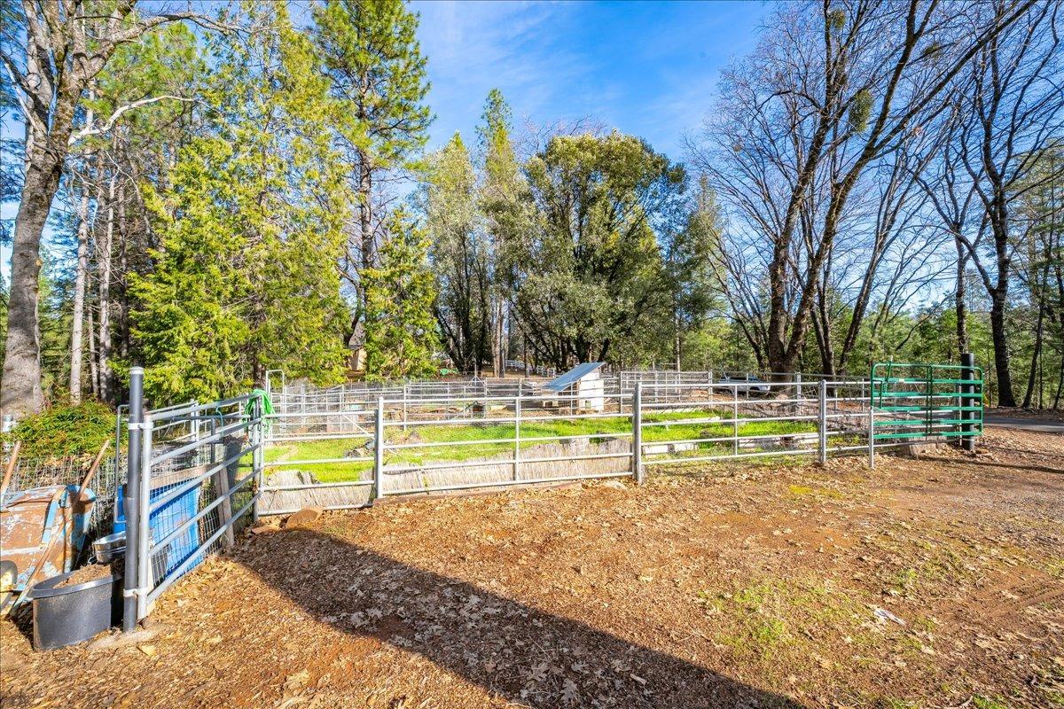 Detail Gallery Image 54 of 64 For 3480 Graybar Mine Rd, Garden Valley,  CA 95633 - 3 Beds | 2/1 Baths