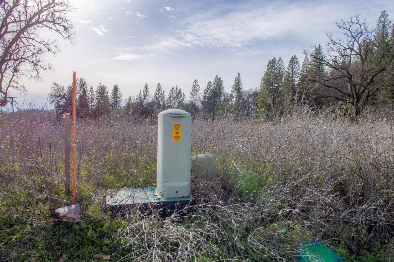 SW Homestead  Road, Pine Grove, California image 9