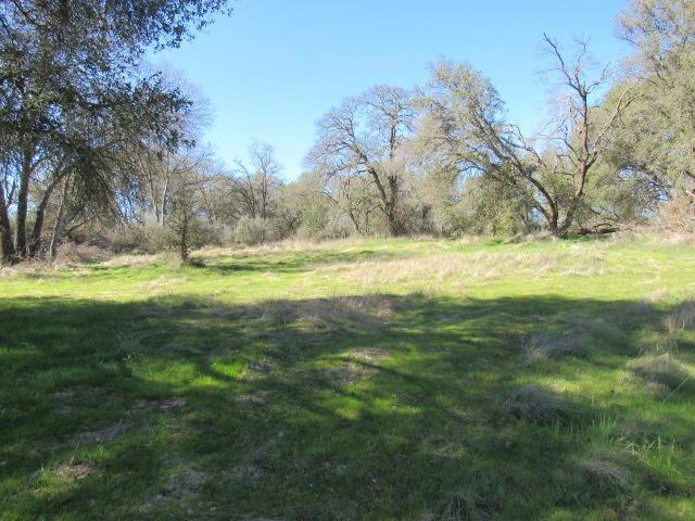 Country View Drive, Valley Springs, California image 2