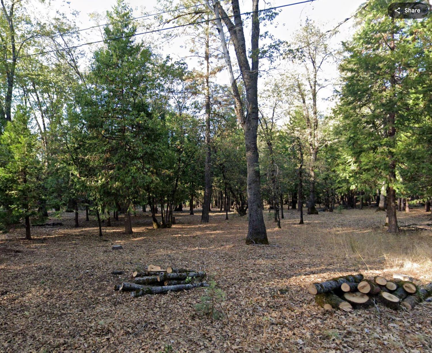 Madrone Forest Drive, Nevada City, California image 13