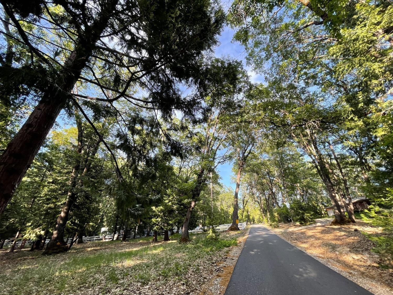 Madrone Forest Drive, Nevada City, California image 1