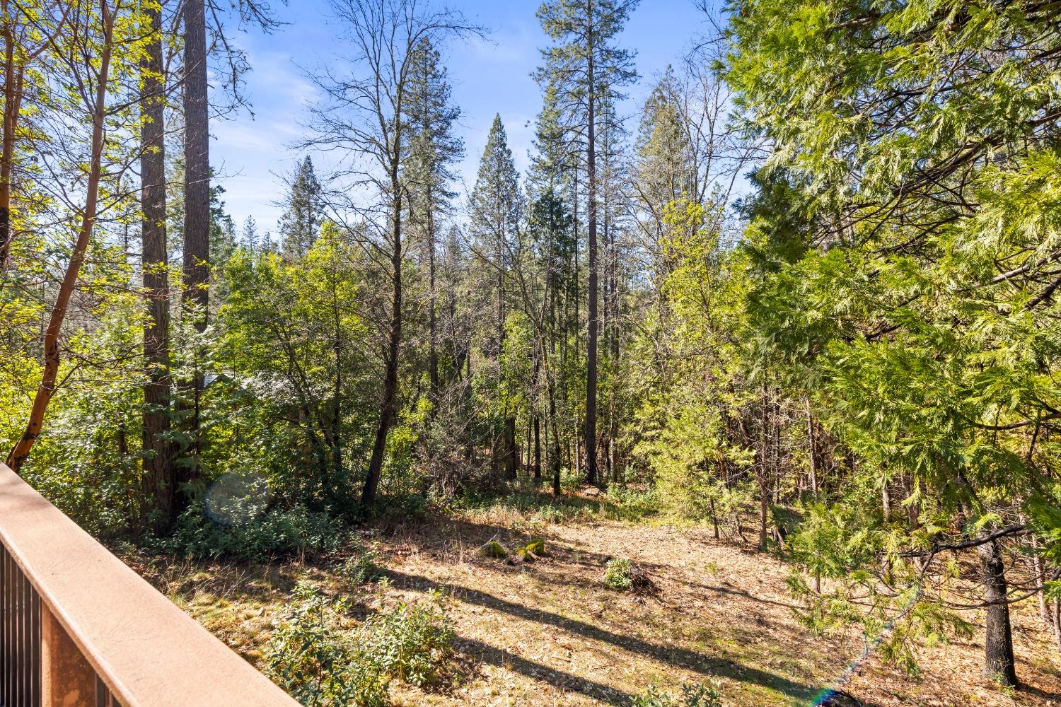 14862 Brush Creek Court, Nevada City, California image 10