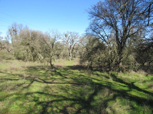 Country View Drive, Valley Springs, California image 5