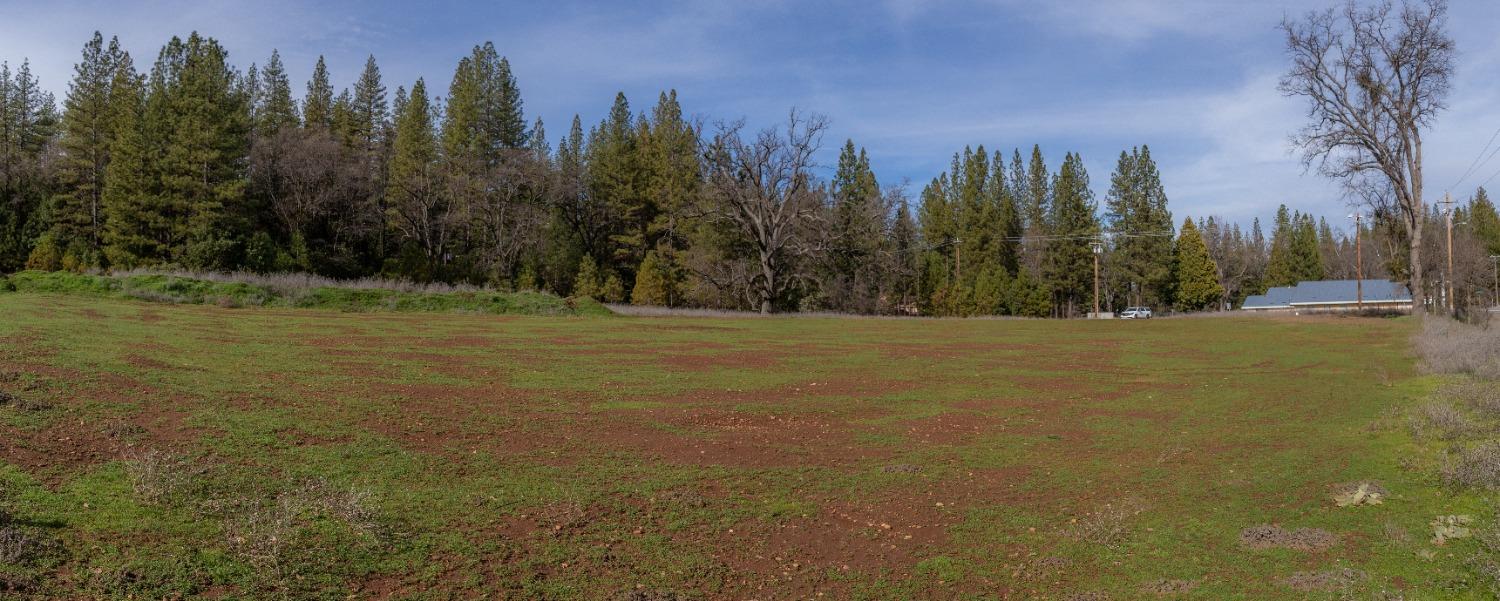 SW Homestead  Road, Pine Grove, California image 4