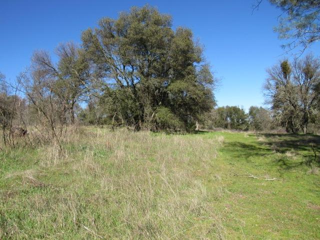 Country View Drive, Valley Springs, California image 3