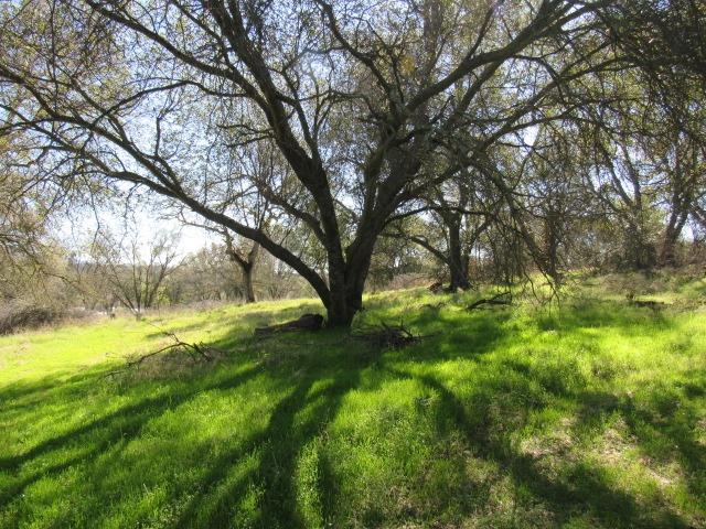 Country View Drive, Valley Springs, California image 4