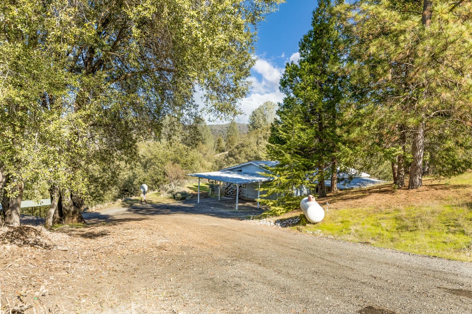 High View Drive, Placerville, California image 3