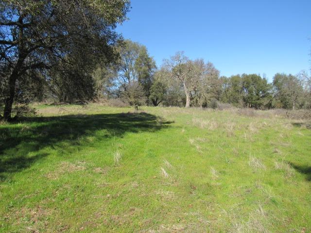 Country View Drive, Valley Springs, California image 1