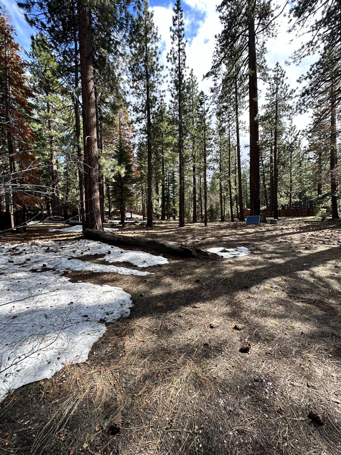 Emerald Bay Road, South Lake Tahoe, California image 9