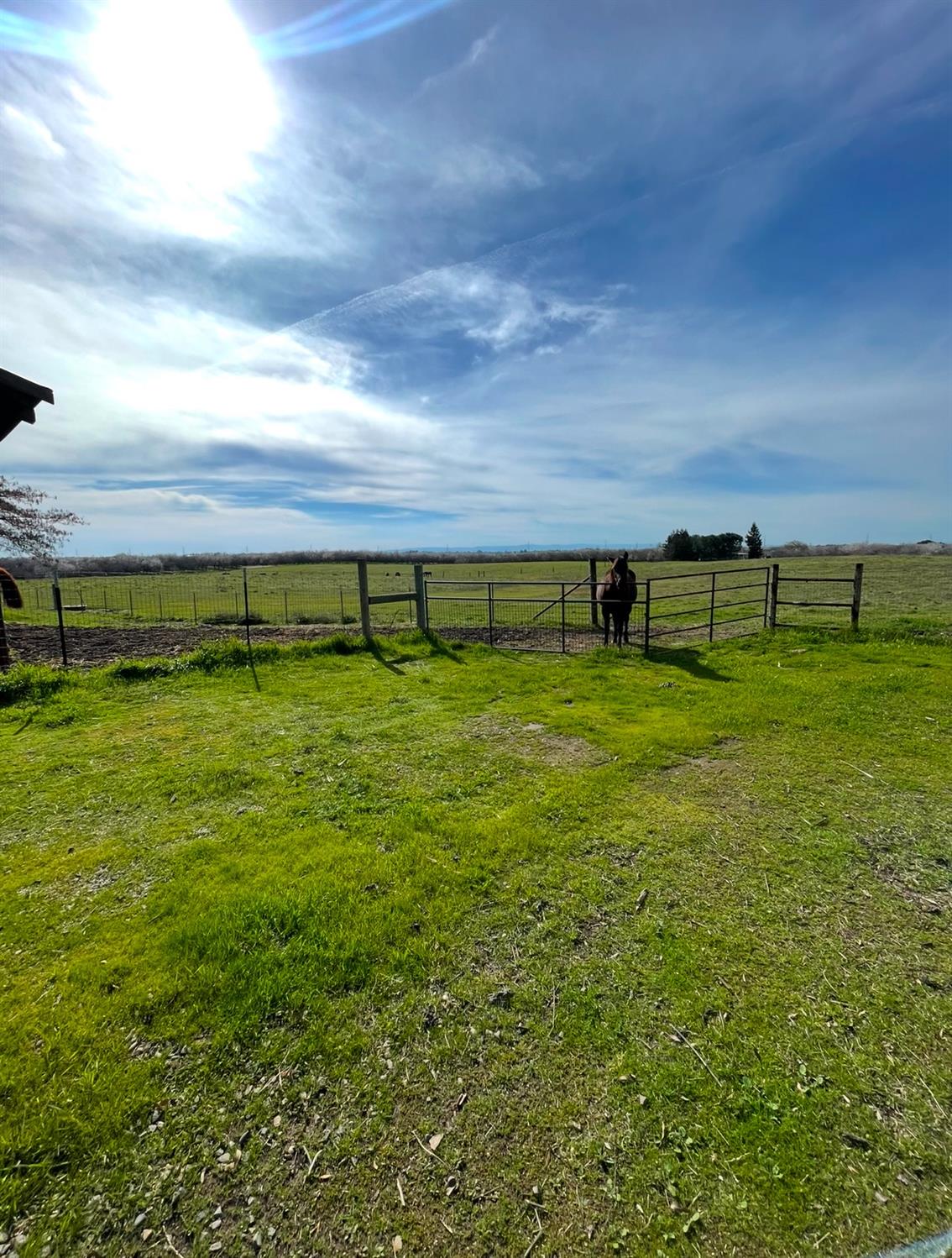 Detail Gallery Image 45 of 79 For 12419 28 Mile Rd, Oakdale,  CA 95361 - 4 Beds | 3/1 Baths