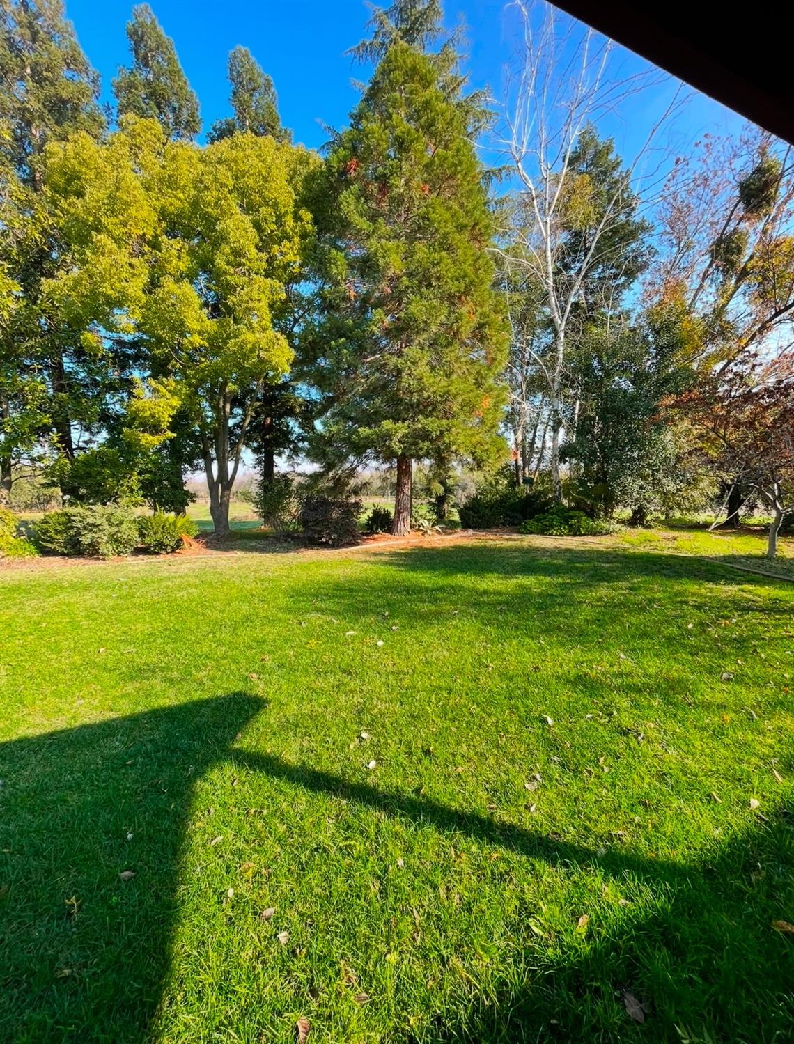Detail Gallery Image 42 of 79 For 12419 28 Mile Rd, Oakdale,  CA 95361 - 4 Beds | 3/1 Baths