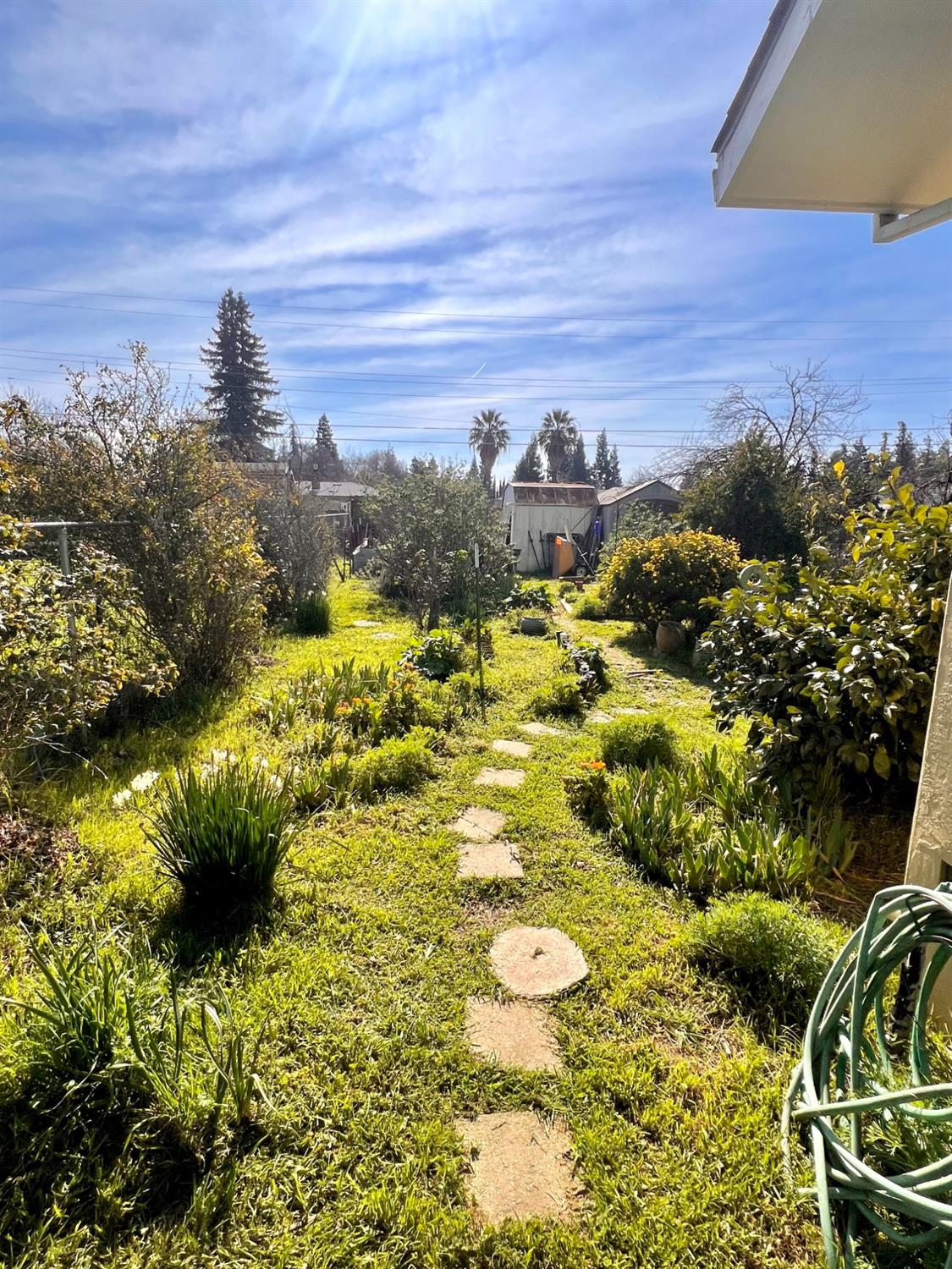 Detail Gallery Image 20 of 29 For 4650 Dahlia Dr, Stockton,  CA 95212 - 3 Beds | 2 Baths