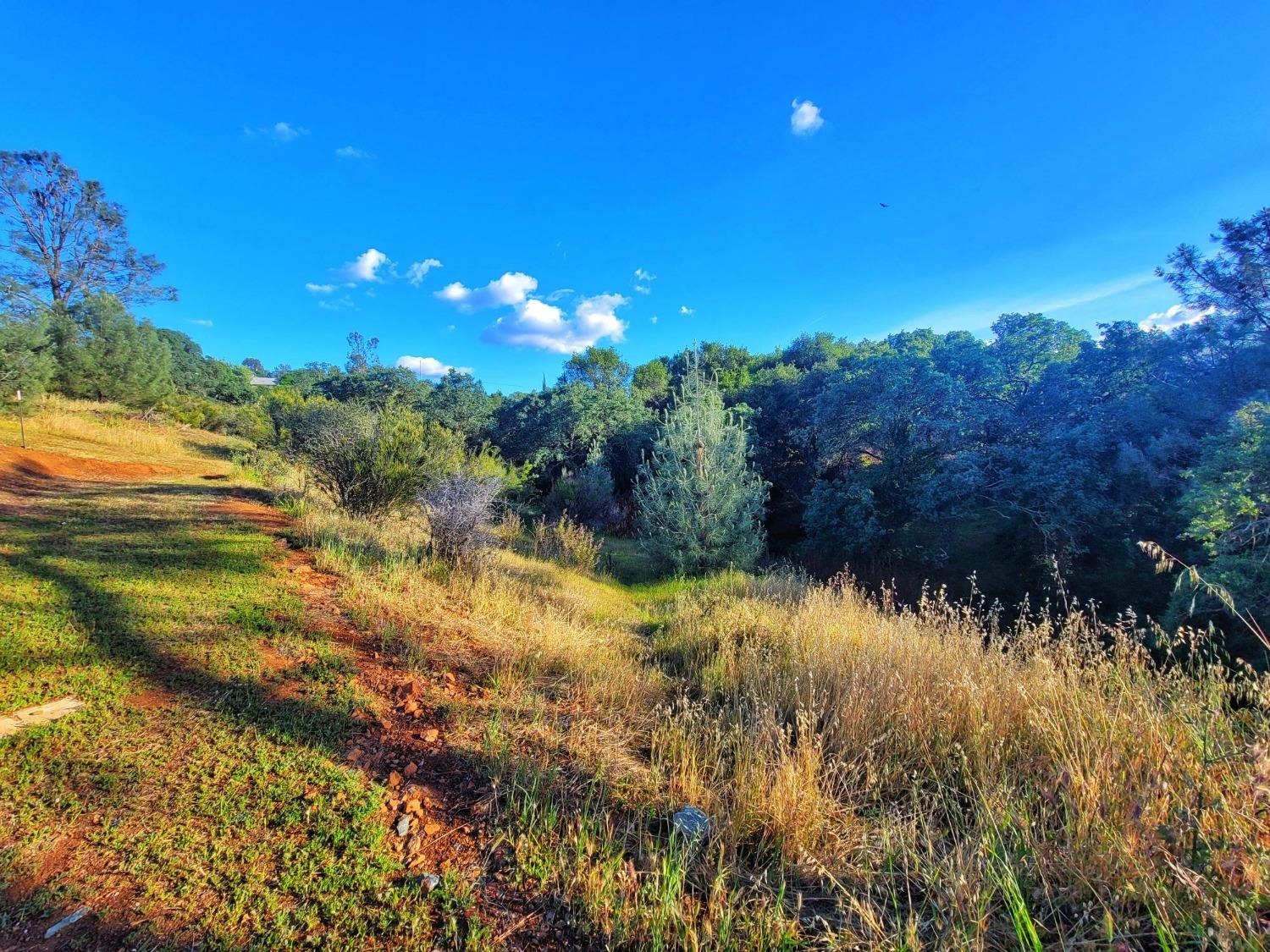 Baldwin Street, Valley Springs, California image 12