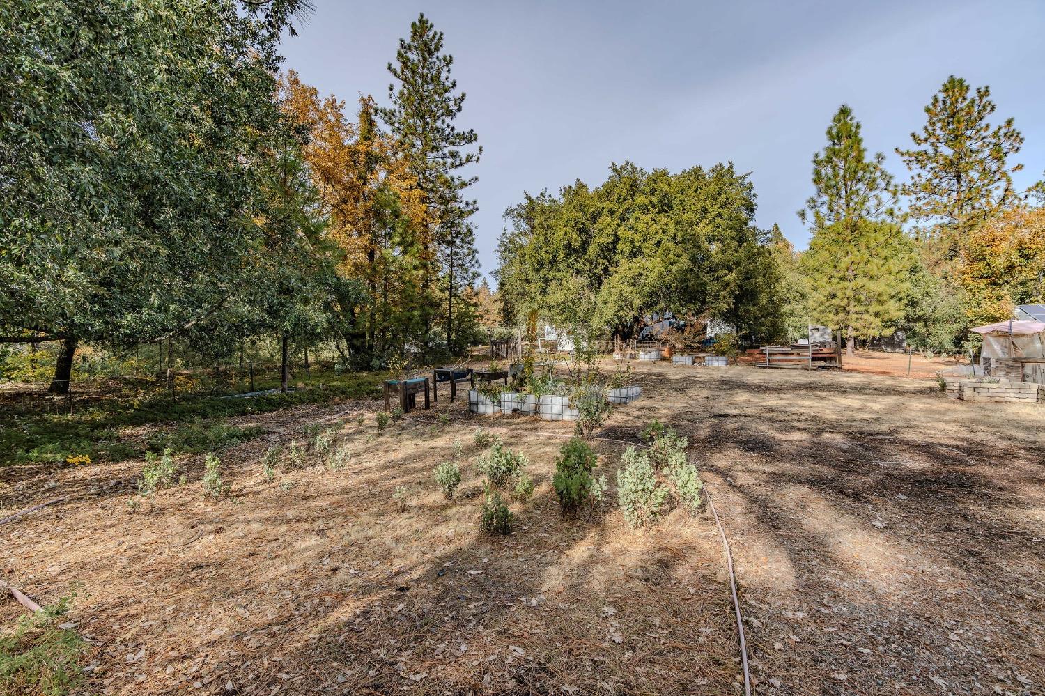 Detail Gallery Image 75 of 92 For 2863 April Ln, Mokelumne Hill,  CA 95232 - 2 Beds | 3 Baths