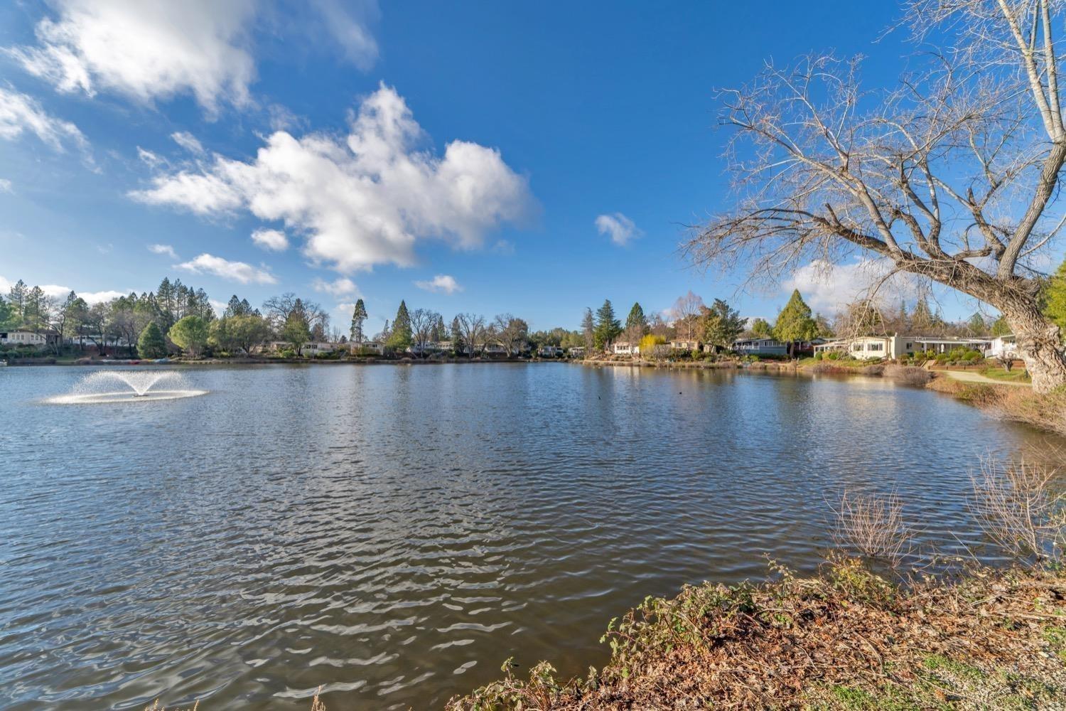 Detail Gallery Image 50 of 53 For 4420 Pleasant Valley Rd 159, Diamond Springs,  CA 95619 - 2 Beds | 2 Baths