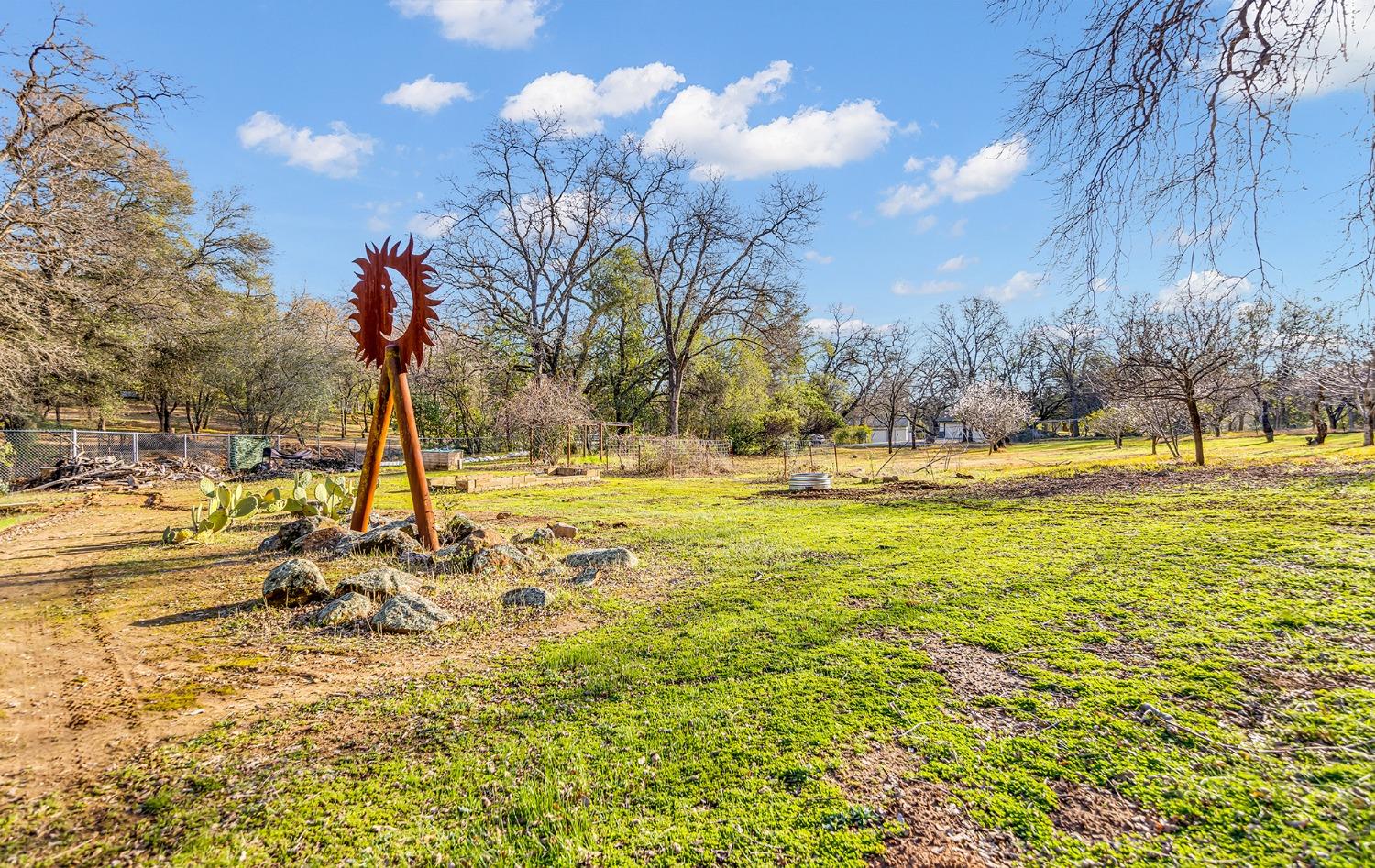 Grand Oak Drive, Oroville, California image 41