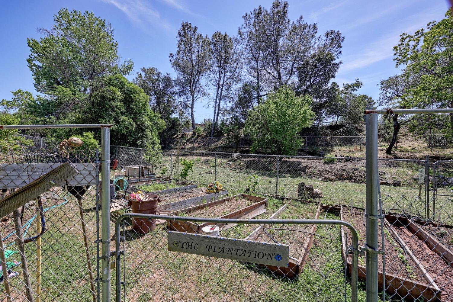 Detail Gallery Image 51 of 52 For 1677 Tulip Cir, Auburn,  CA 95603 - 3 Beds | 2 Baths
