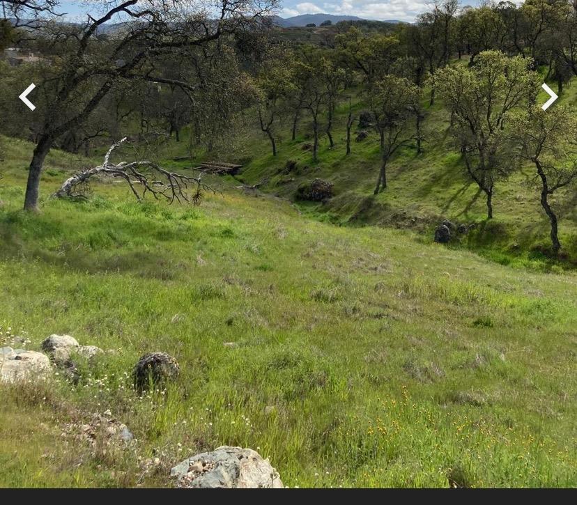 Bane Road, Valley Springs, California image 3