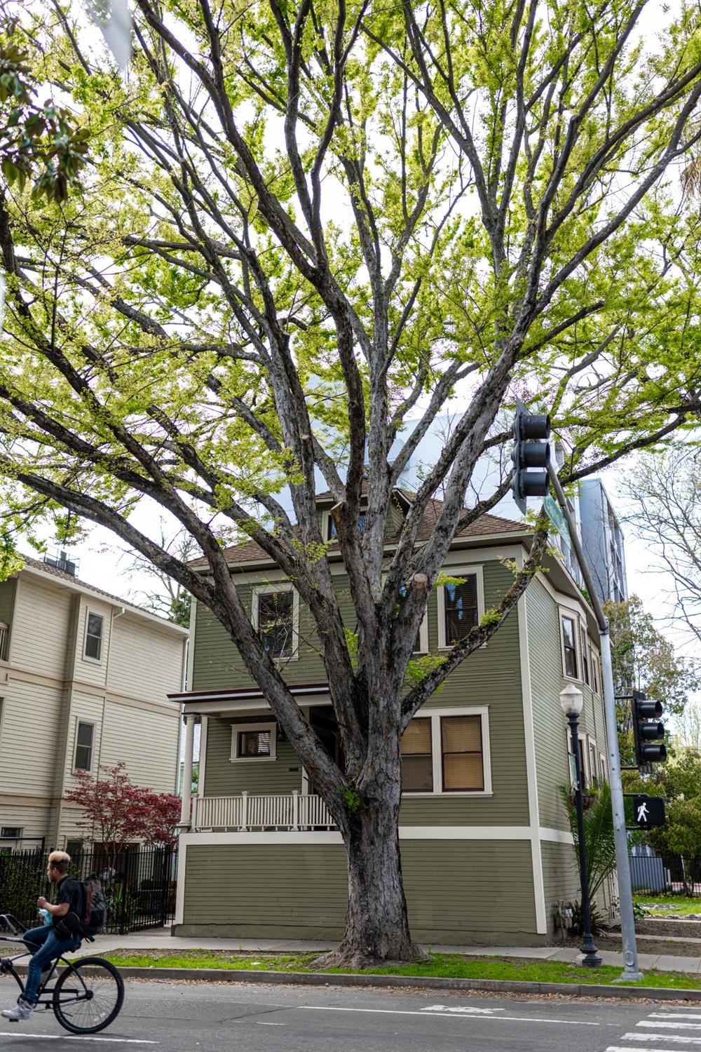 Detail Gallery Image 76 of 79 For 1300 19th St, Sacramento,  CA 95811 - – Beds | – Baths