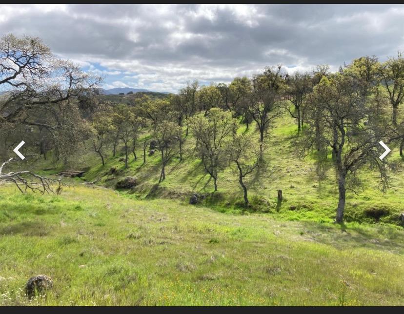 Bane Road, Valley Springs, California image 4