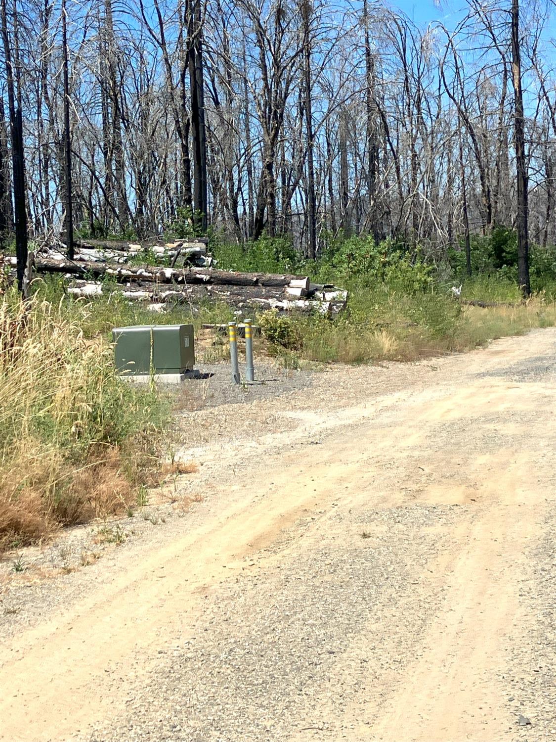 Bromilow Lane, Berry Creek, California image 13