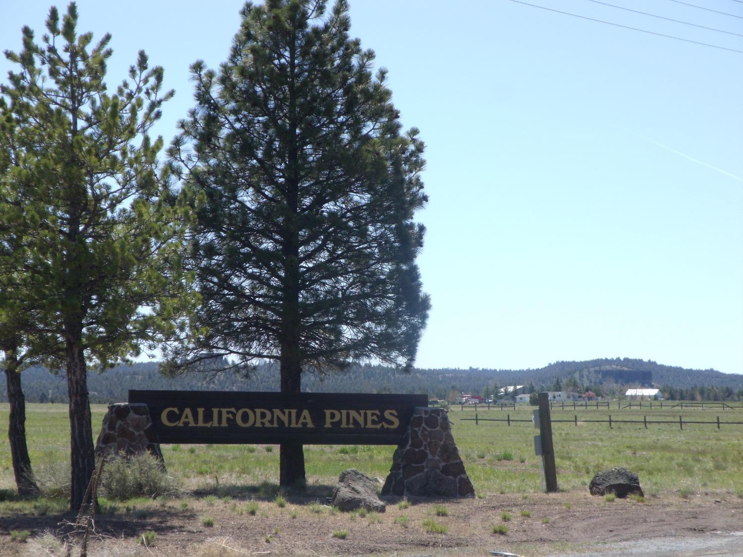 Glen View Lane, Alturas, California image 5