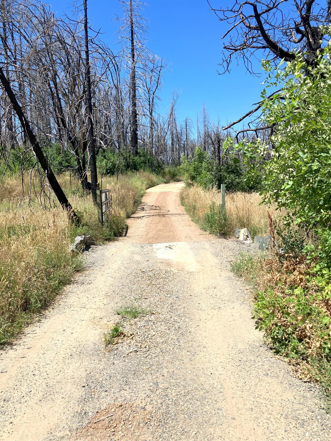 Bromilow Lane, Berry Creek, California image 11