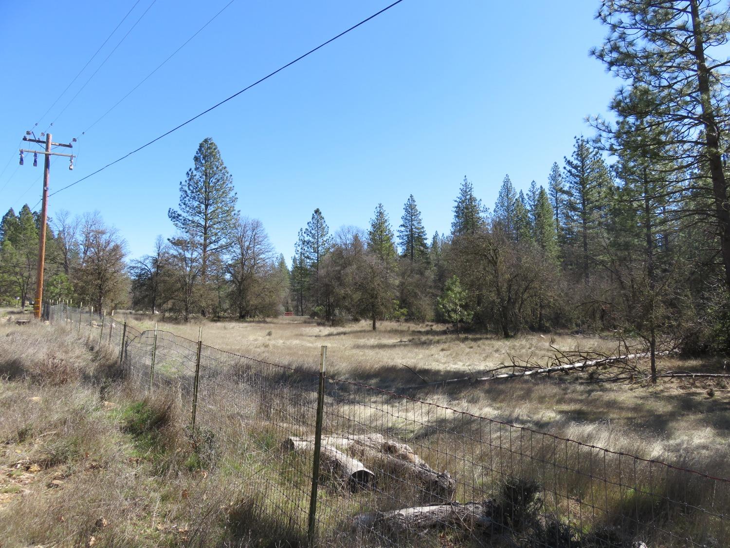 Black Oak Drive, Rail Road Flat, California image 7