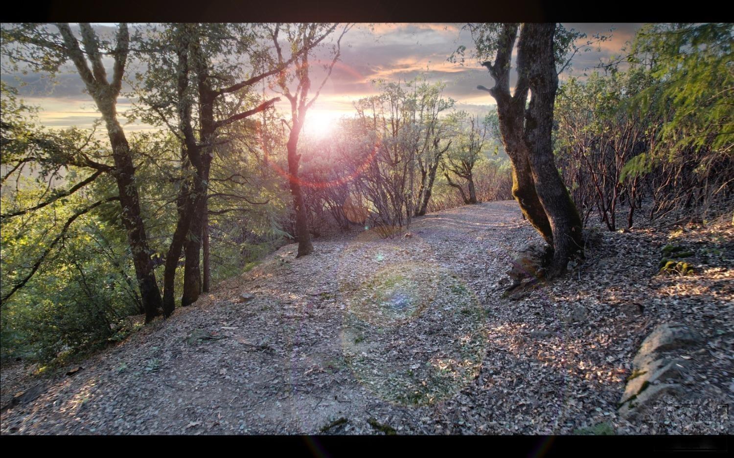 Manion Canyon Road, Grass Valley, California image 8