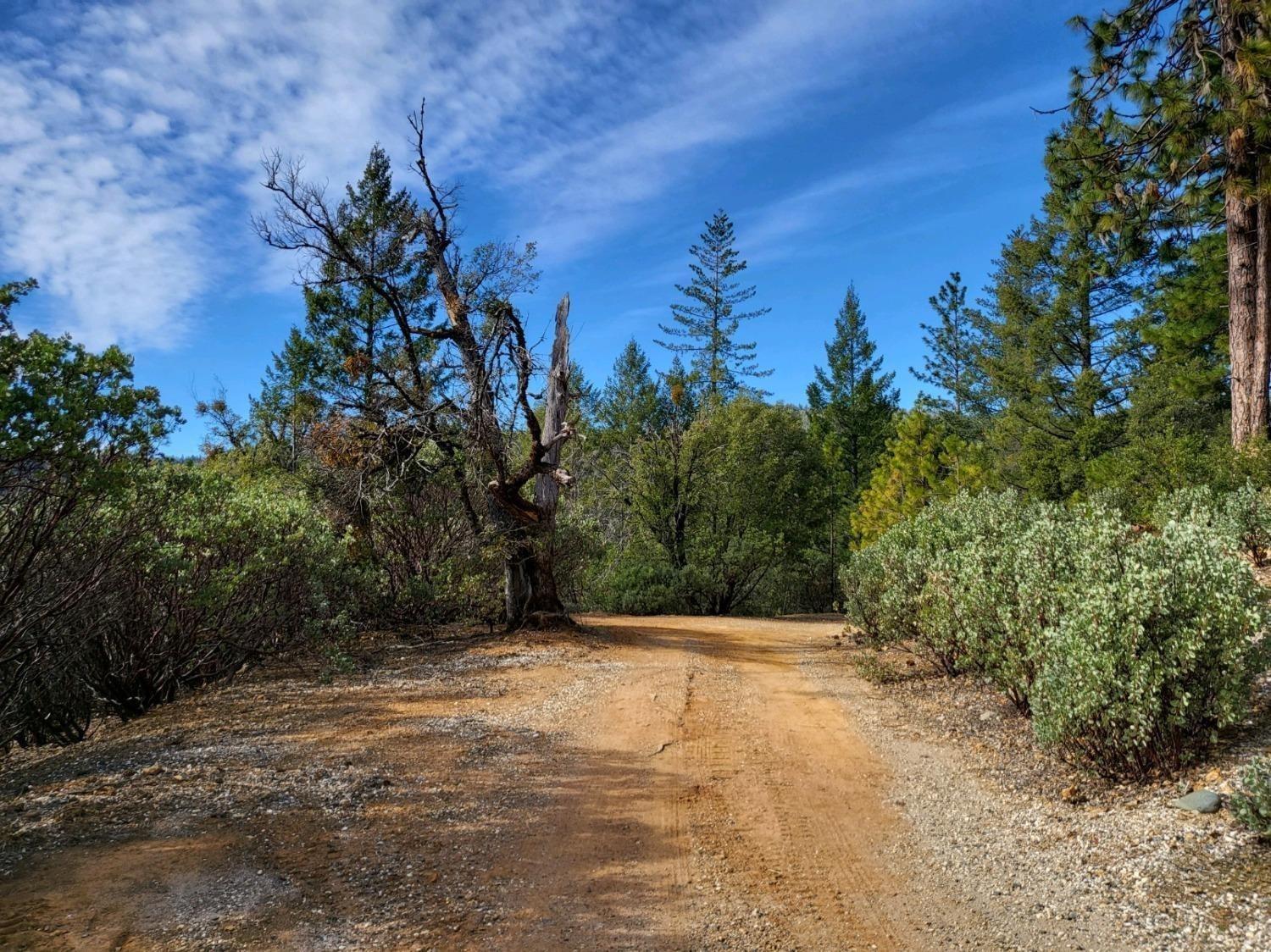 Manion Canyon Road, Grass Valley, California image 34