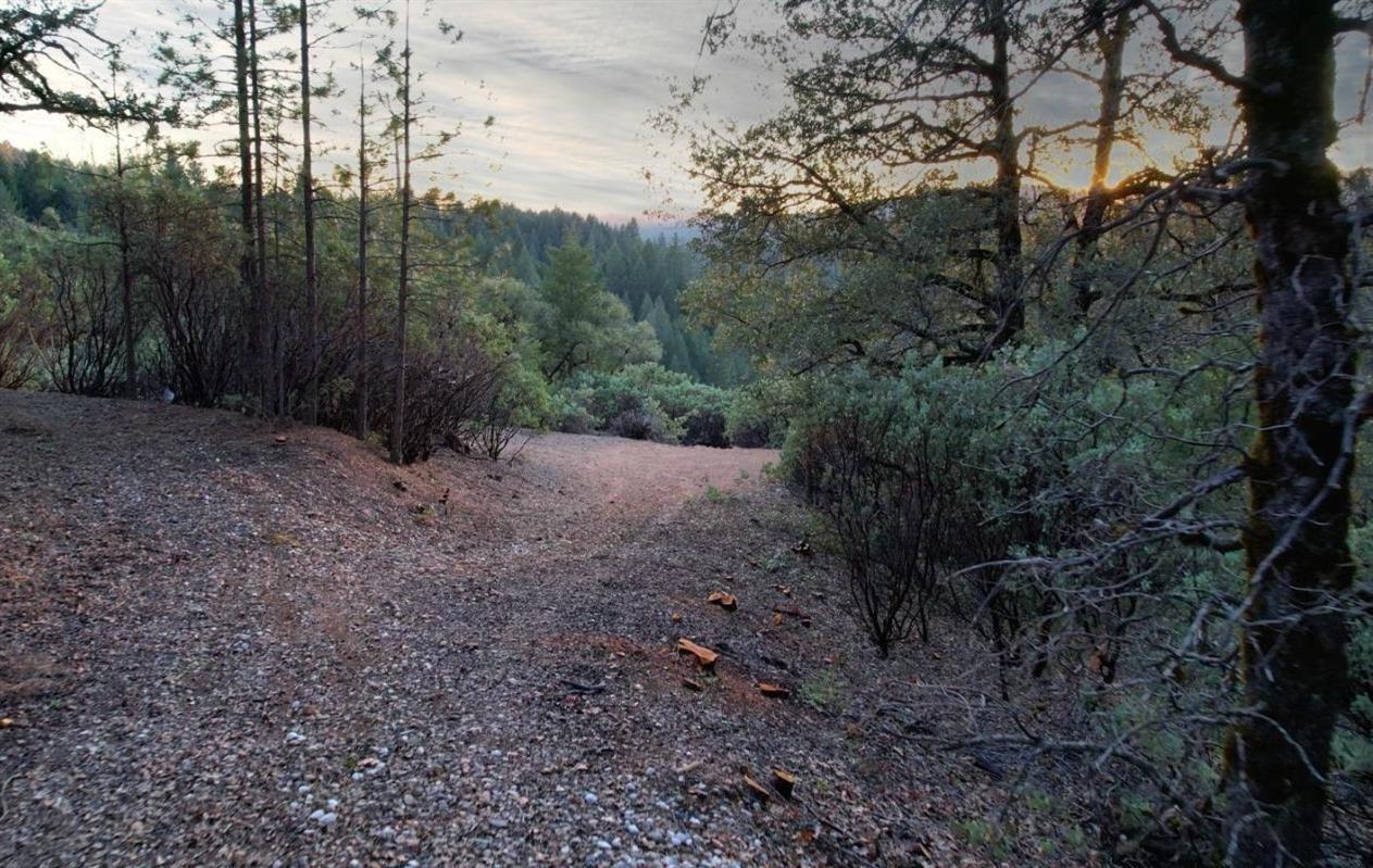 Manion Canyon Road, Grass Valley, California image 3