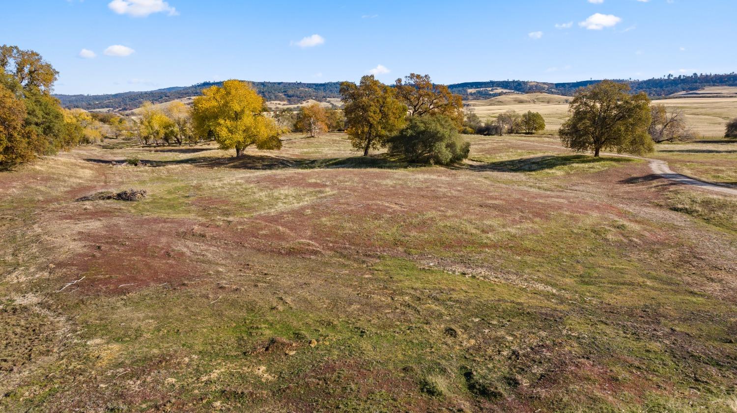 Wheelock Road, Oroville, California image 9