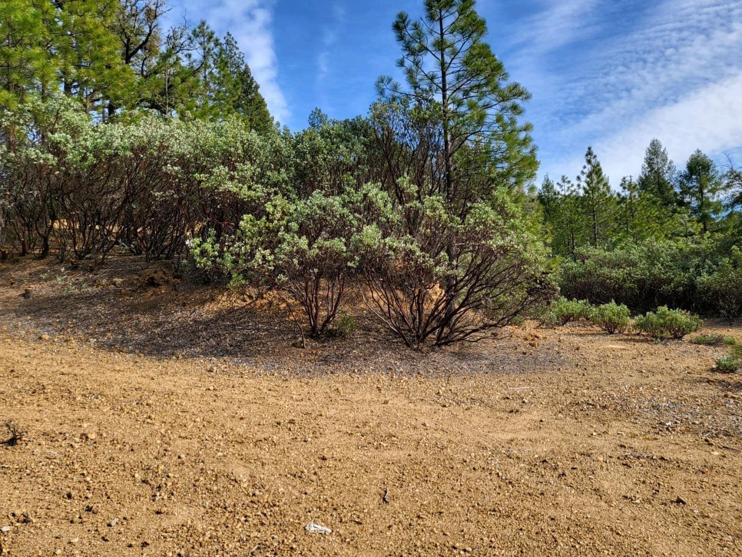 Manion Canyon Road, Grass Valley, California image 36