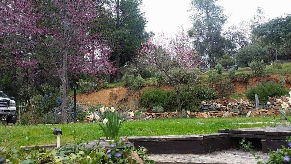 Detail Gallery Image 63 of 78 For 18475 Hershey Rd, Tuolumne,  CA 95379 - 3 Beds | 2 Baths