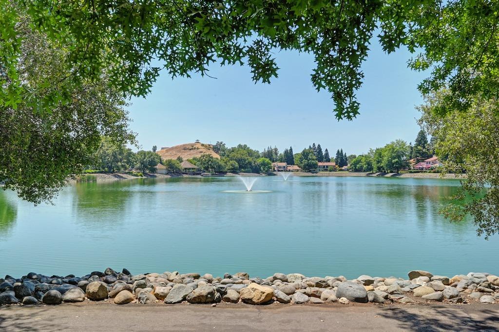 Colina Lane, Rancho Murieta, California image 1