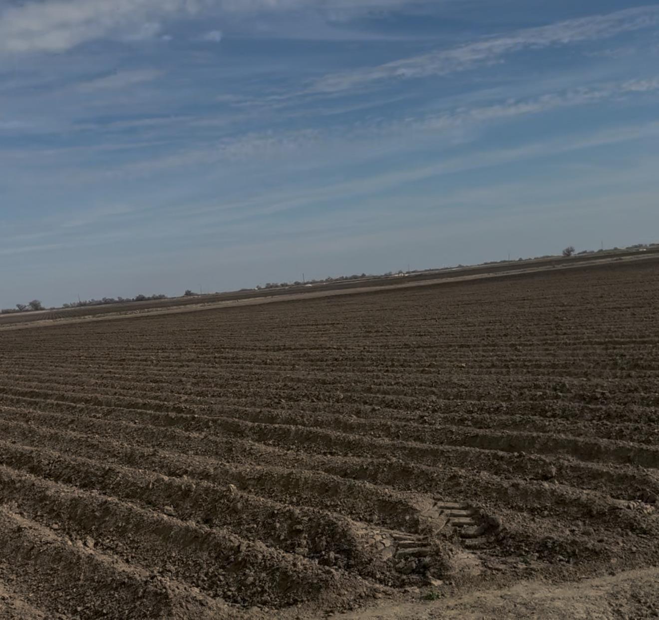 Hutchins Road, Dos Palos, California image 1