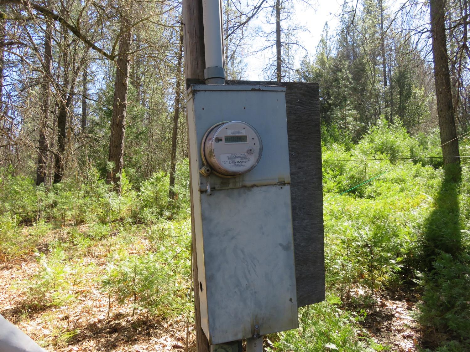 Black Oak Drive, Rail Road Flat, California image 10